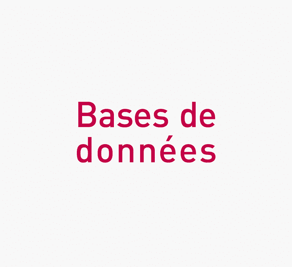 Logo Bases de données