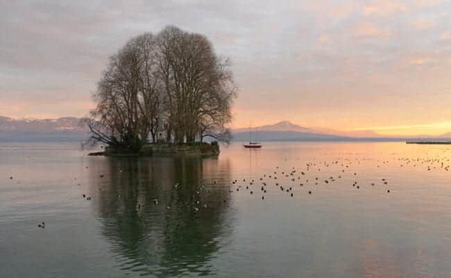 Île de la Harpe, Rolle