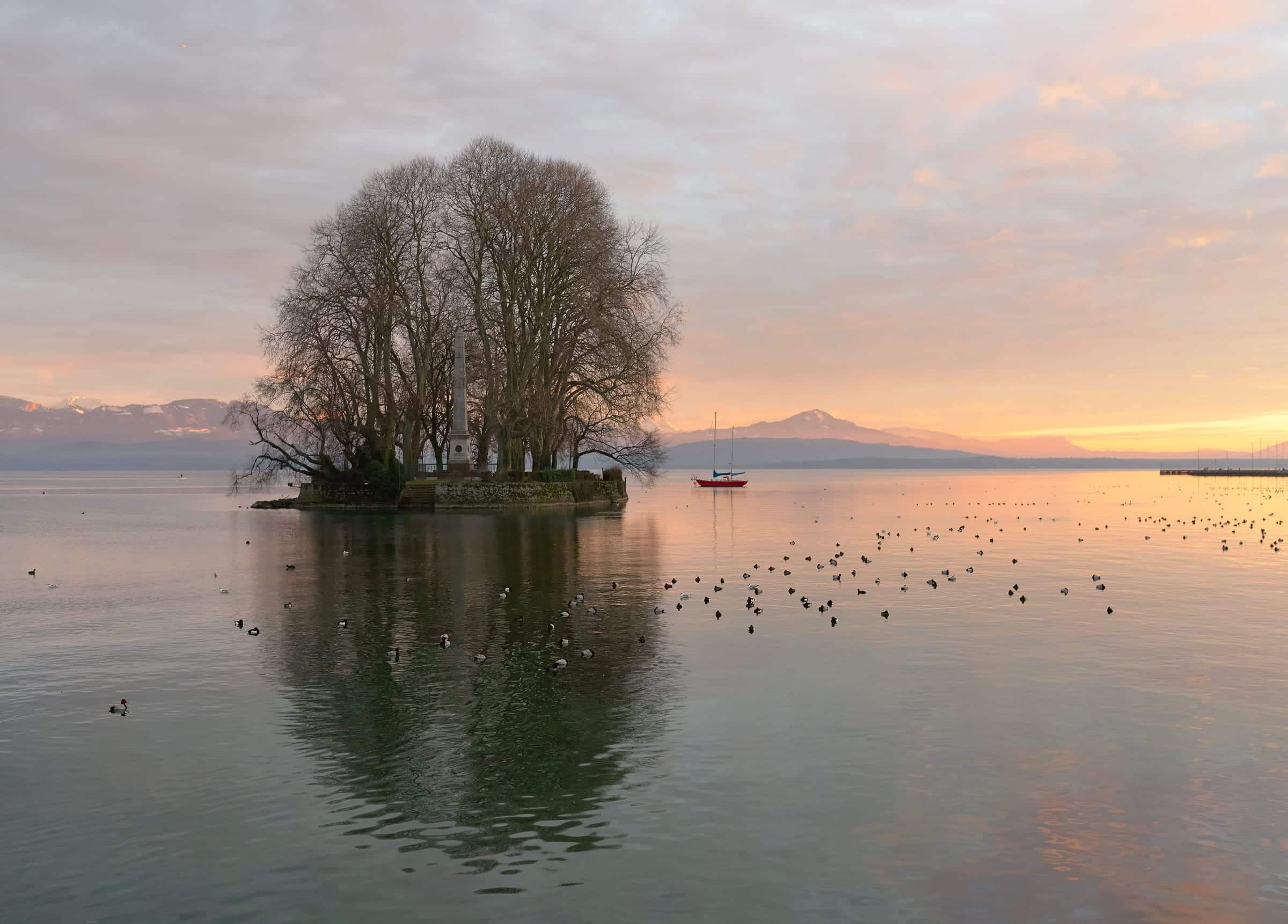 Île de la Harpe, Rolle