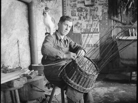 Gaston Cherpillod assis, confectionnant une corbeille, un chat sur l'épaule