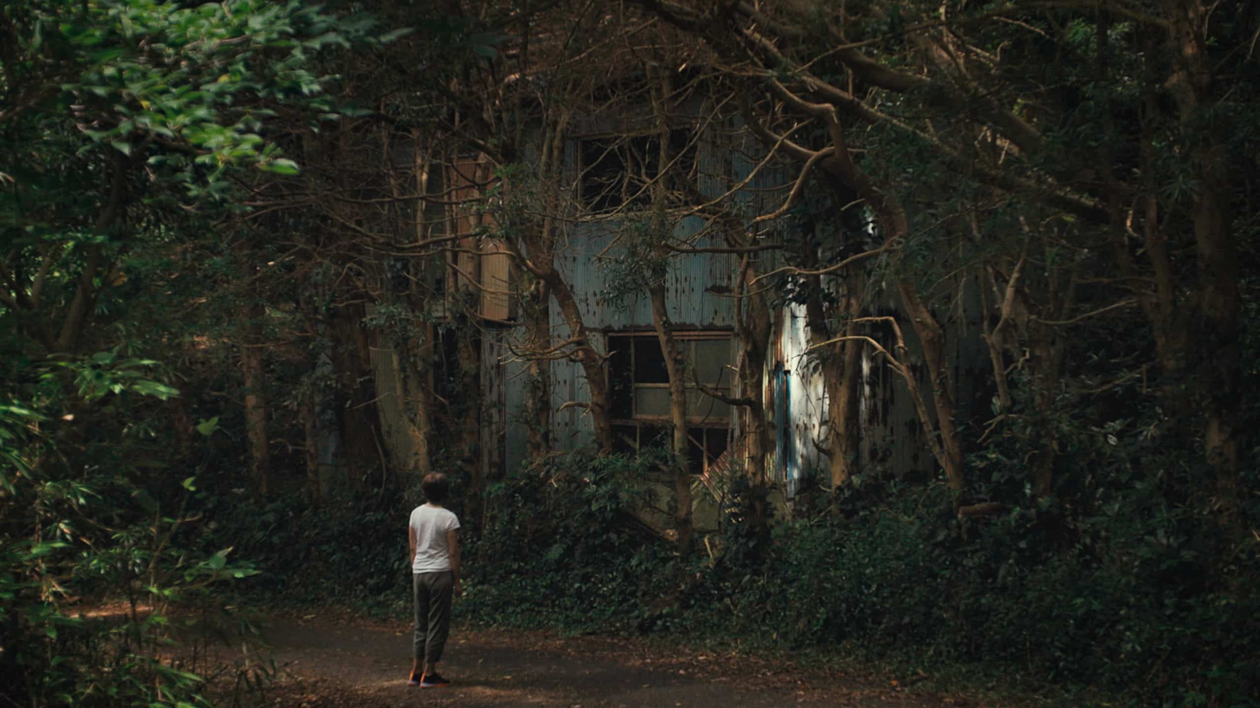Okurimono © Laurence Lévesque/Metafilms
