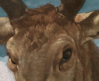 Diego Vélasquez, Tête de cerf, huile sur toile, 1626-1636, Musée du Prado