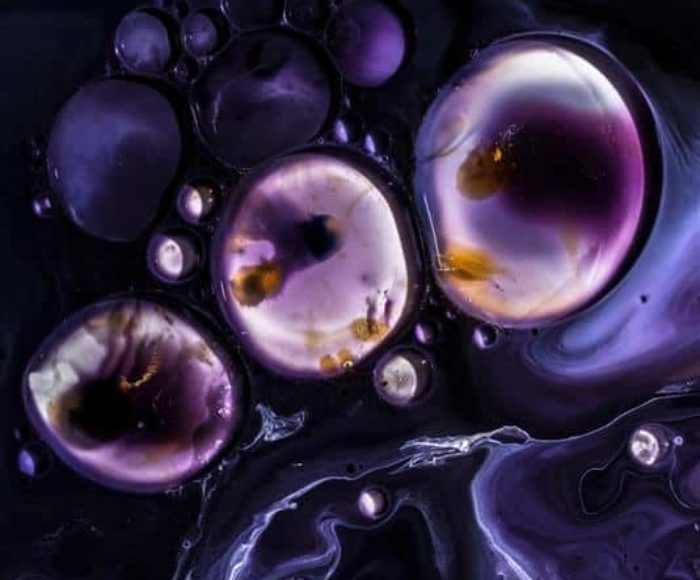 Westend61 via Getty Images