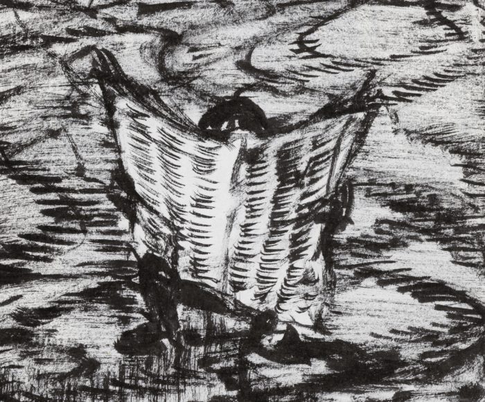 Martial Leiter, coll. BCU Lausanne (détail)