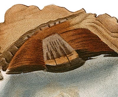 Huître spatulée. Source : BCUL, cote 3P 2341 B, planche 17
